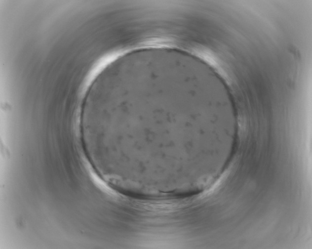 X0000091181421200708091214