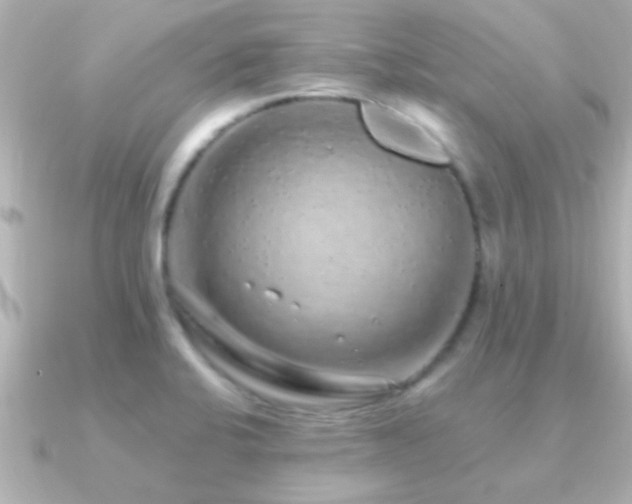 X0000091181424200708091214