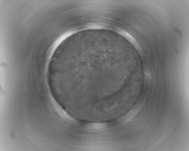 X0000091181427200708091214