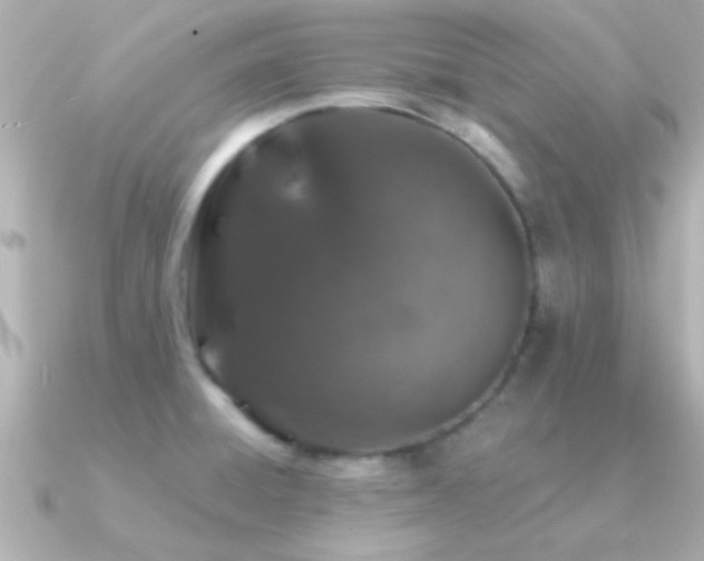 X0000091181428200708091214