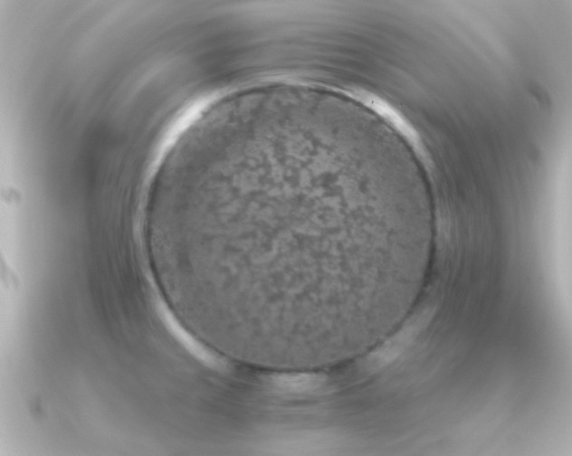 X0000091181429200708091214