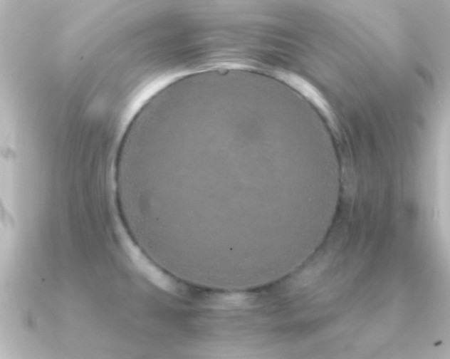 X0000091181431200708091214