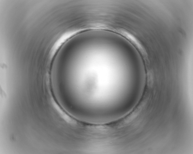 X0000091181432200708091214
