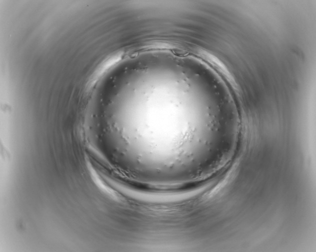 X0000091181433200708091214