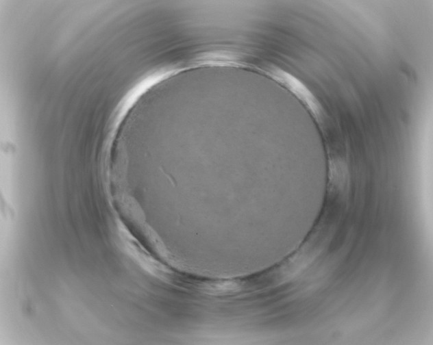 X0000091181435200708091214