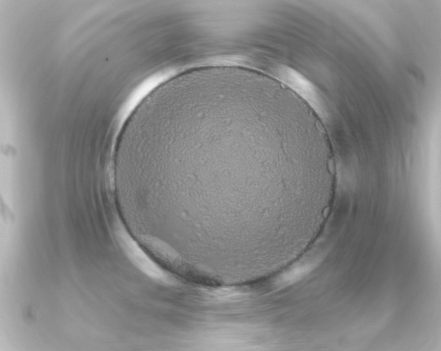 X0000091181436200708091214