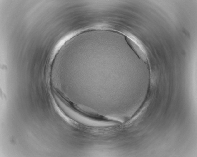 X0000091181437200708091214
