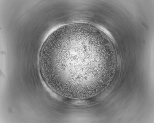 X0000091181439200708091214