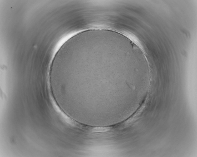 X0000091181440200708091214