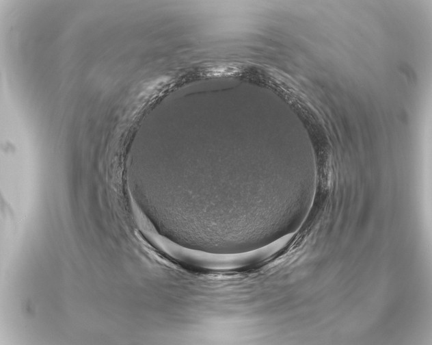 X0000091181441200708091214