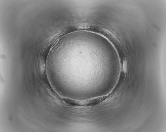 X0000091181444200708091214