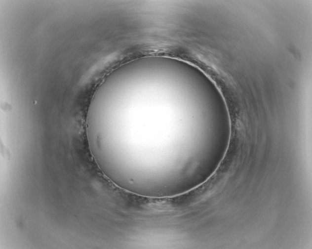 X0000091181447200708091213