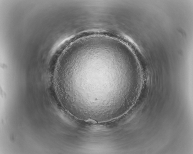 X0000091181448200708091213
