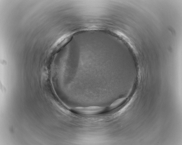 X0000091181449200708091213