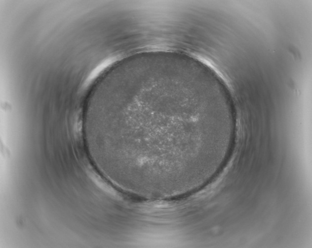 X0000091181450200708091213