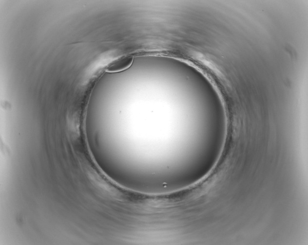X0000091181451200708091213