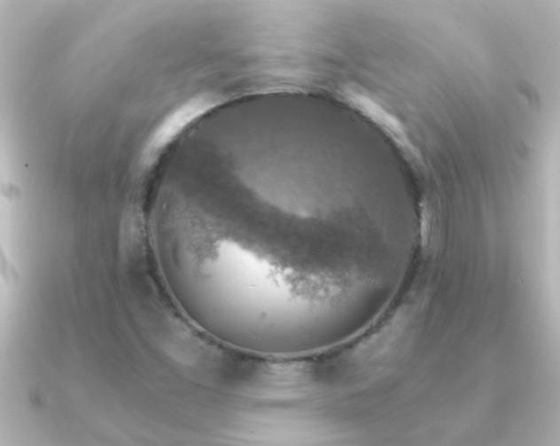X0000091181453200708091213