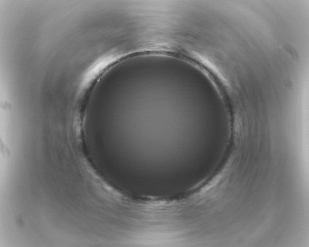 X0000091181455200708091213