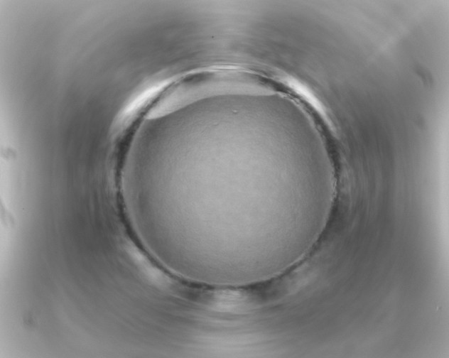 X0000091181456200708091213