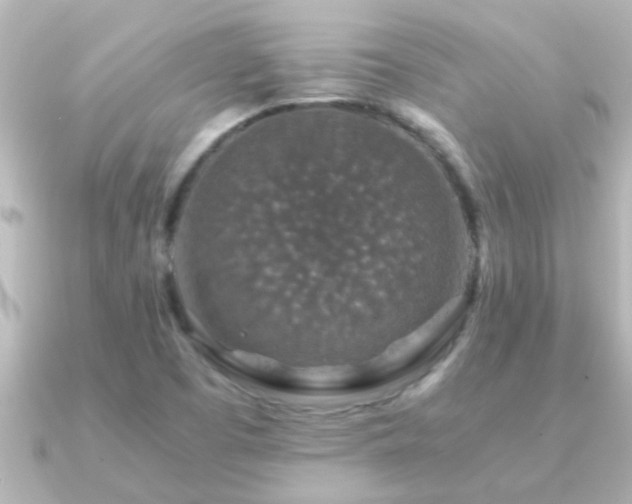 X0000091181457200708091213