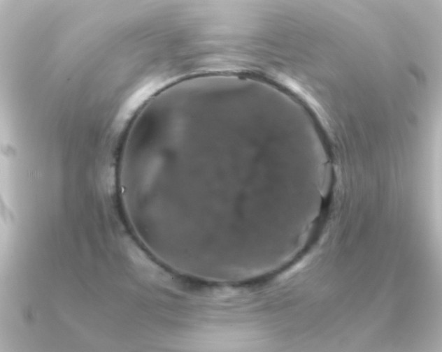 X0000091181459200708091213