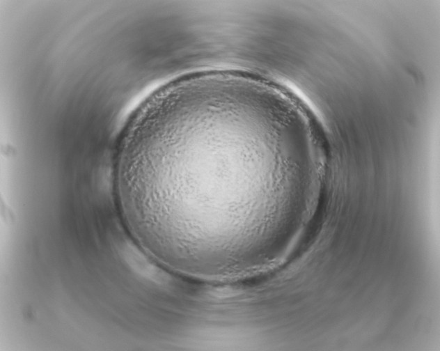 X0000091181460200708091213