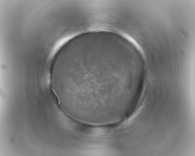 X0000091181461200708091213