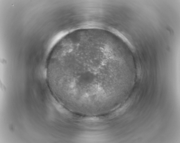 X0000091181462200708091213