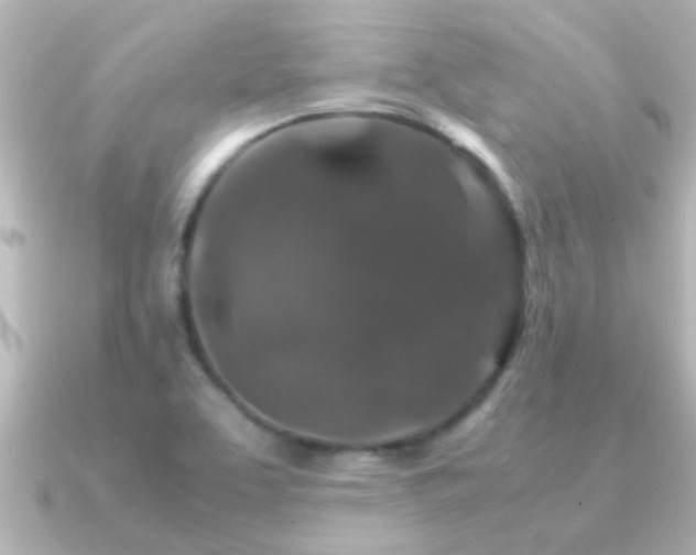 X0000091181463200708091213