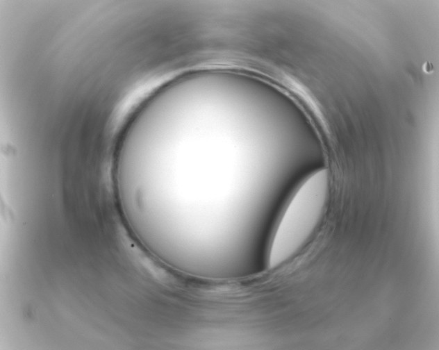 X0000091181464200708091213
