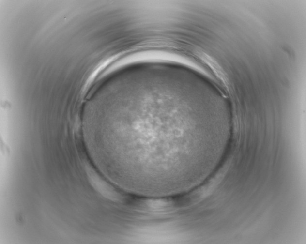 X0000091181465200708091213