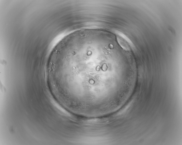 X0000091181467200708091213