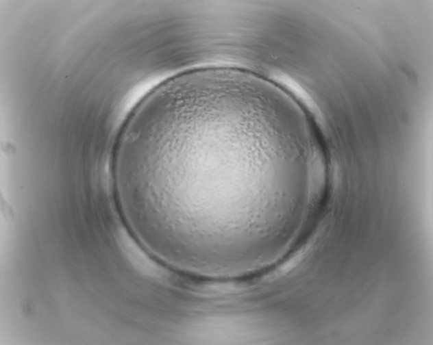 X0000091181468200708091213