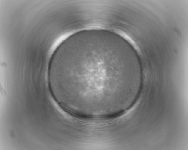 X0000091181469200708091213