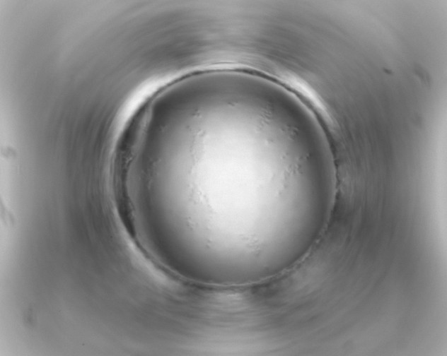 X0000091181472200708091213