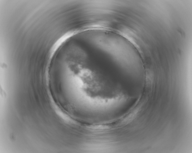 X0000091181474200708091213