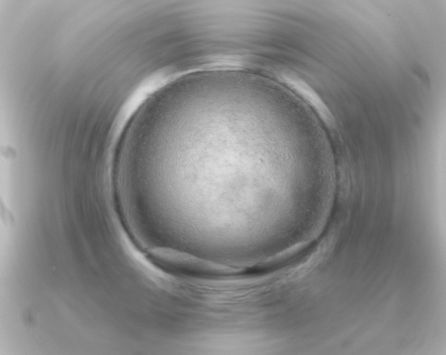 X0000091181475200708091213
