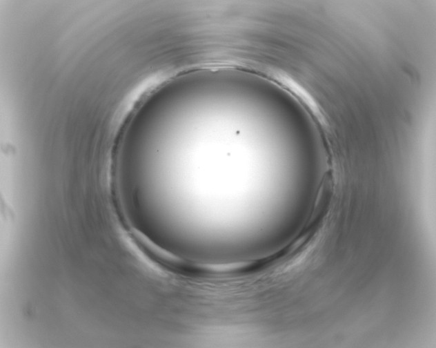 X0000091181477200708091213