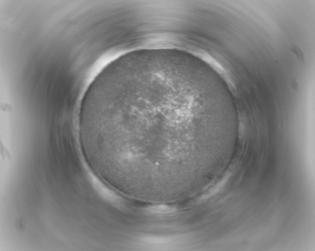 X0000091181478200708091213
