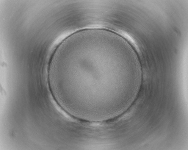 X0000091181480200708091213