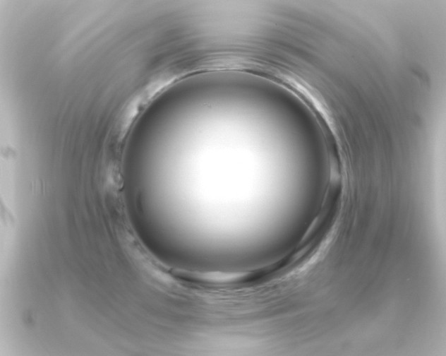 X0000091181481200708091213