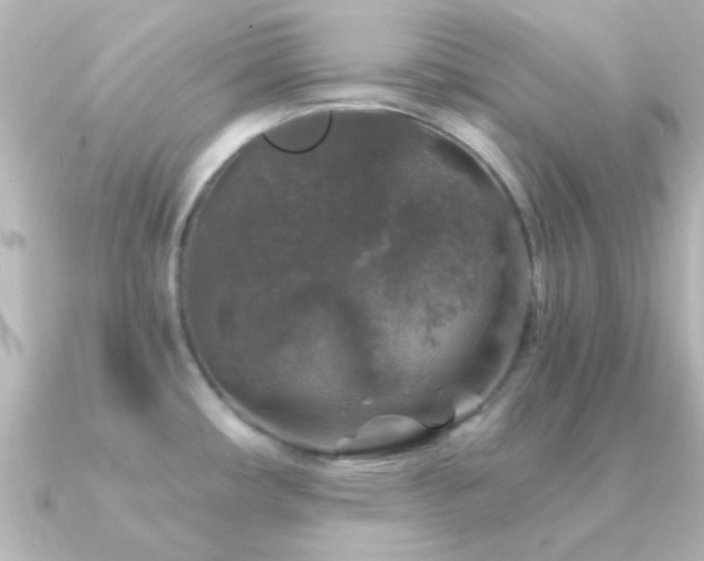 X0000091181482200708091213