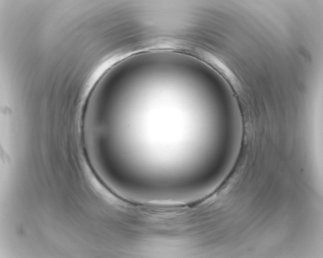 X0000091181483200708091213