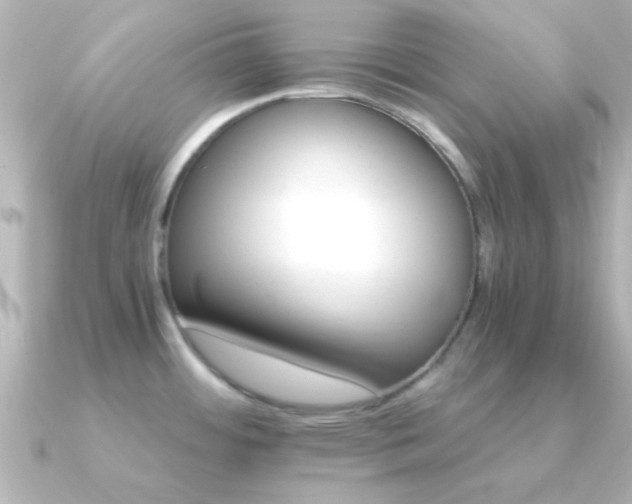 X0000091181484200708091213