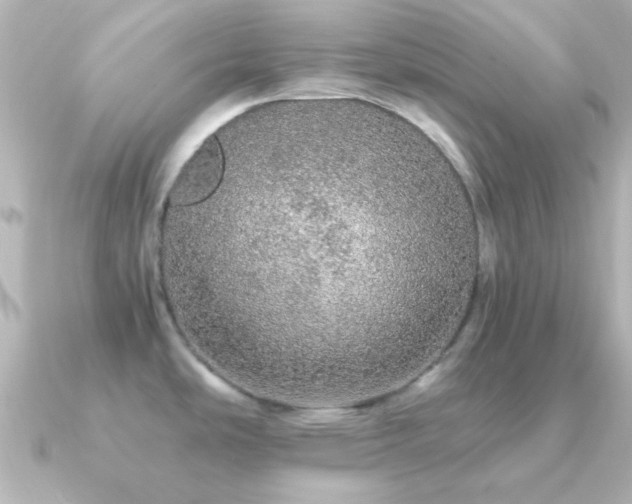X0000091181486200708091213