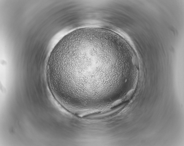 X0000091181488200708091213