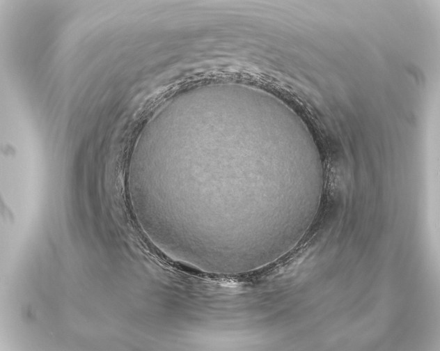 X0000091181489200708091212