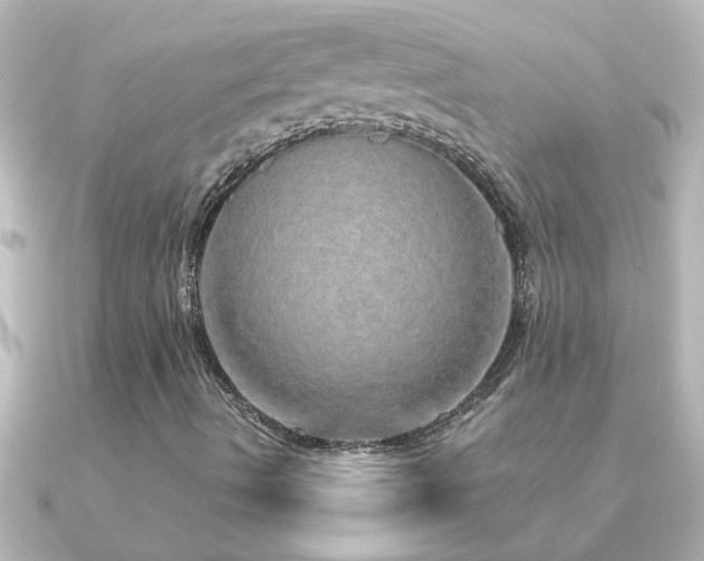 X0000091181490200708091212