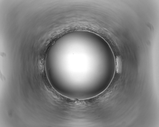 X0000091181491200708091212