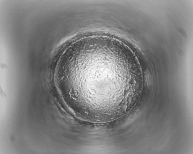 X0000091181494200708091213
